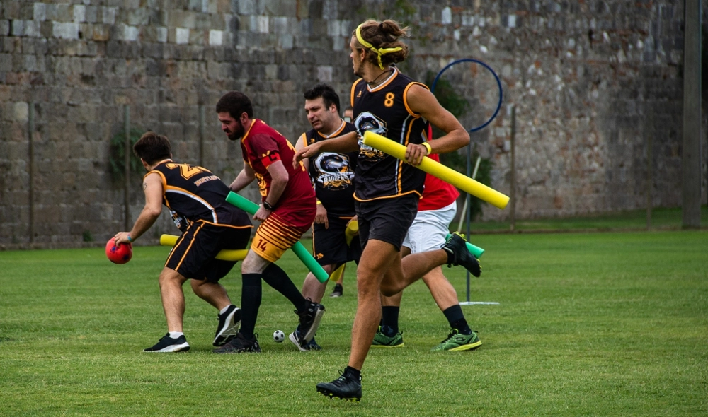 partita di quidditch tassorosso contro grifondoro