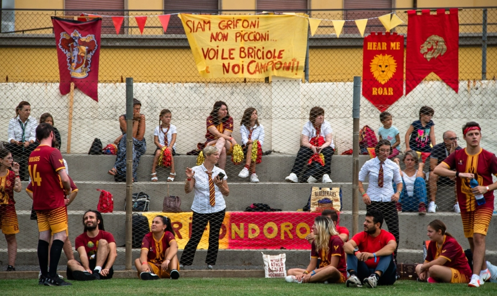 tifoseria quidditch della squadra gridfondoro