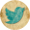 icona Twitter